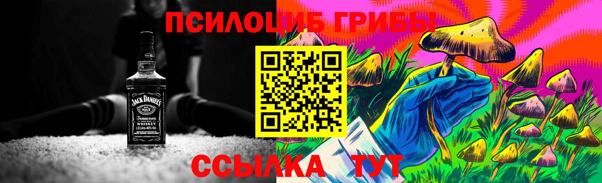 Галлюциногенные грибы мухоморы Грязи